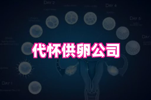 天津助孕网站 4